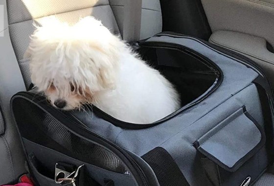 Which dog carrier is best for car rides?
