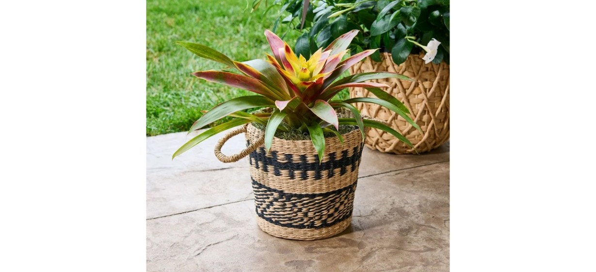 Better Homes &amp; Gardens Emmett Basket Planter on patio