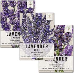 Seed Needs Lavender Herb Seed Packet Collection