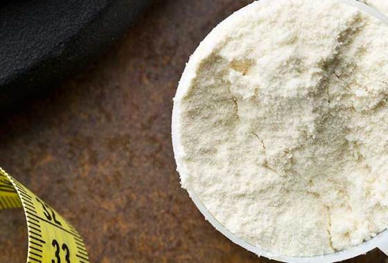 Best Coconut Protein Powders
