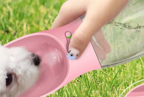 Best Dog Water Bottles