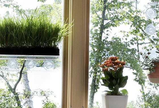 Best Indoor Herb Gardens