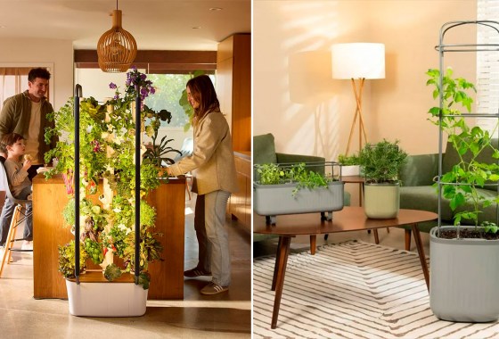 Vertical vegetable garden ideas perfect for small spaces