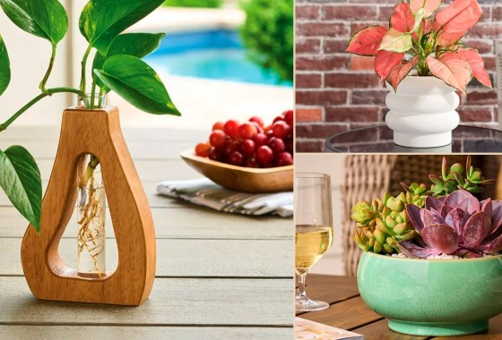 Better Homes & Gardens’ Walmart line just dropped gorgeous new planters for spring