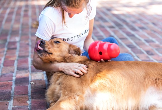 Best dog puzzle toys for stimulating overactive dogs