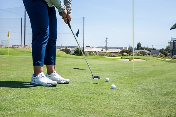 Titleist Pro v1x Golf Balls