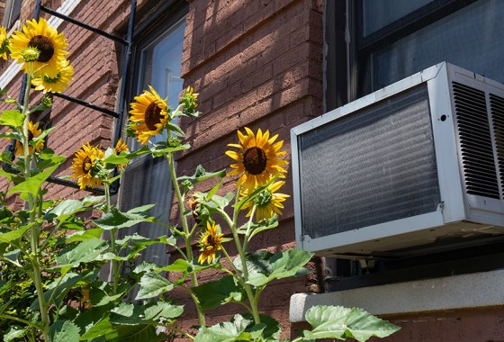 The best cheap window air conditioner