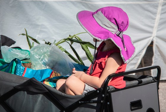 Best collapsible wagon for kids