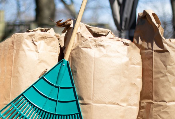 The best leaf bag