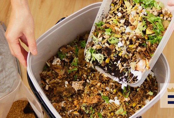 Tips for indoor composting