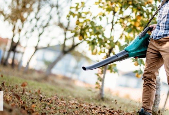 Best electric leaf mulcher for fall lawn care