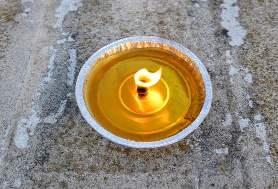 Best mosquito repellent for your yard