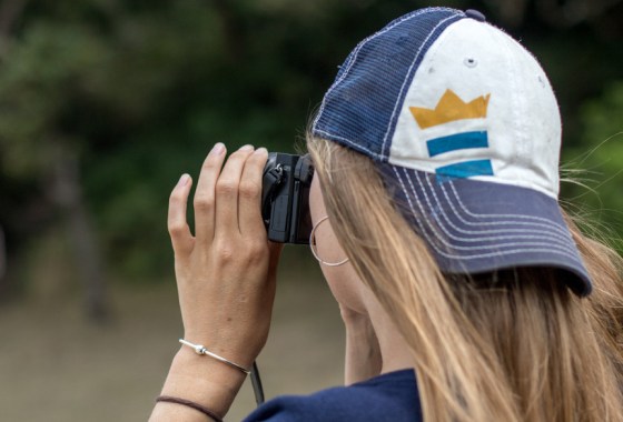 Digital camera vs. phone camera