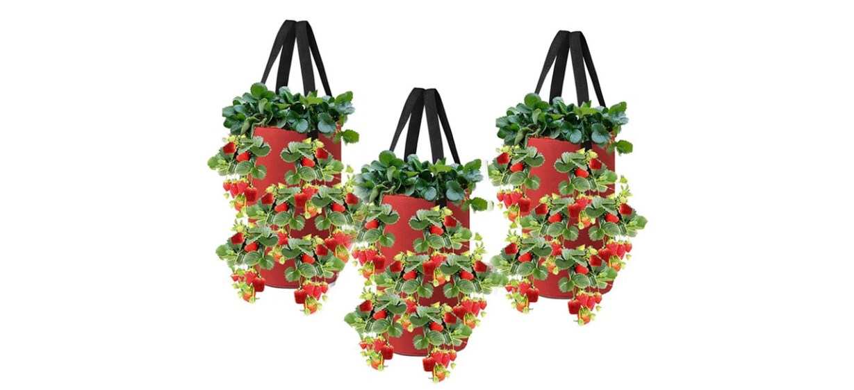 Arlmont &amp; Co Hanging Tomato Grow Kit