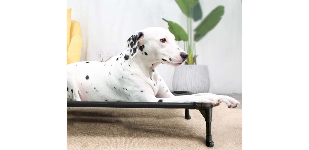 Veehoo Cooling Elevated Dog Bed
