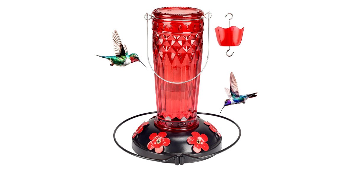 Hummingbird Feeder-16 Ounces