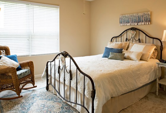 Best queen bed skirt