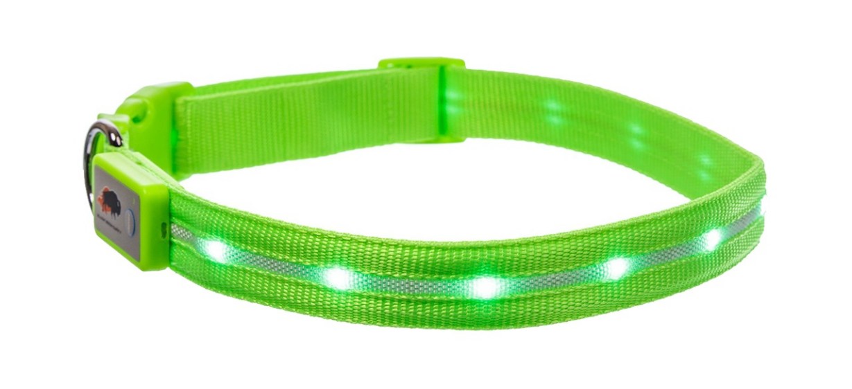 Blazin Safety LED USB Rechargeable Dog Collar