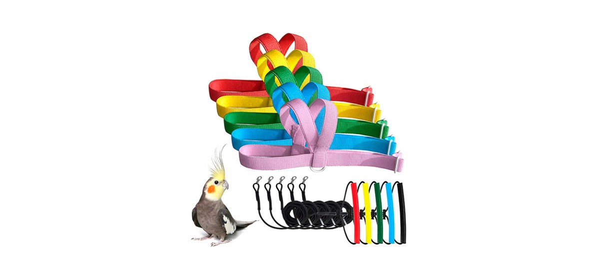 Vanfavori Adjustable Bird Harness And Leash