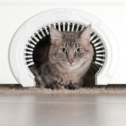 Purrfect Portal