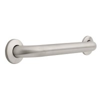 Franklin Brass Concealed Mount Safety Bath and Shower Grab Bar