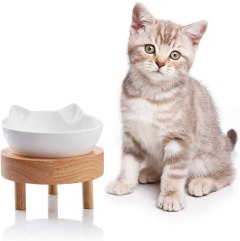 Jemirry Raised Cat Food Bowls