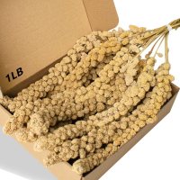 Jmxu Spray Millet Treat for Birds