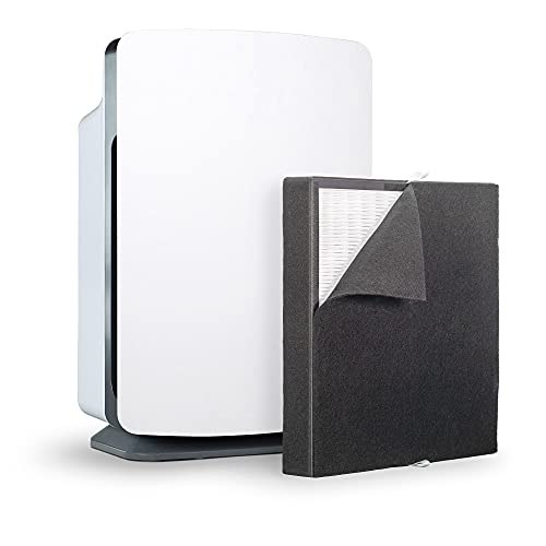 Alen BreatheSmart Customizable Air Purifier