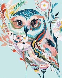 DoMyArt Rainbow Owl Acrylic Paint by Numbers Kit