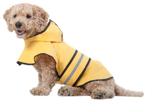 Fashion Pet SPOT Rainy Days Slicker