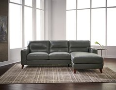 Hydeline Elm Leather Chaise Lounge Sectional