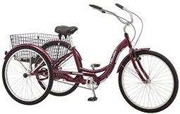 Schwinn