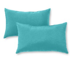 Shipton Indoor/Outdoor Reversible Throw Pillow